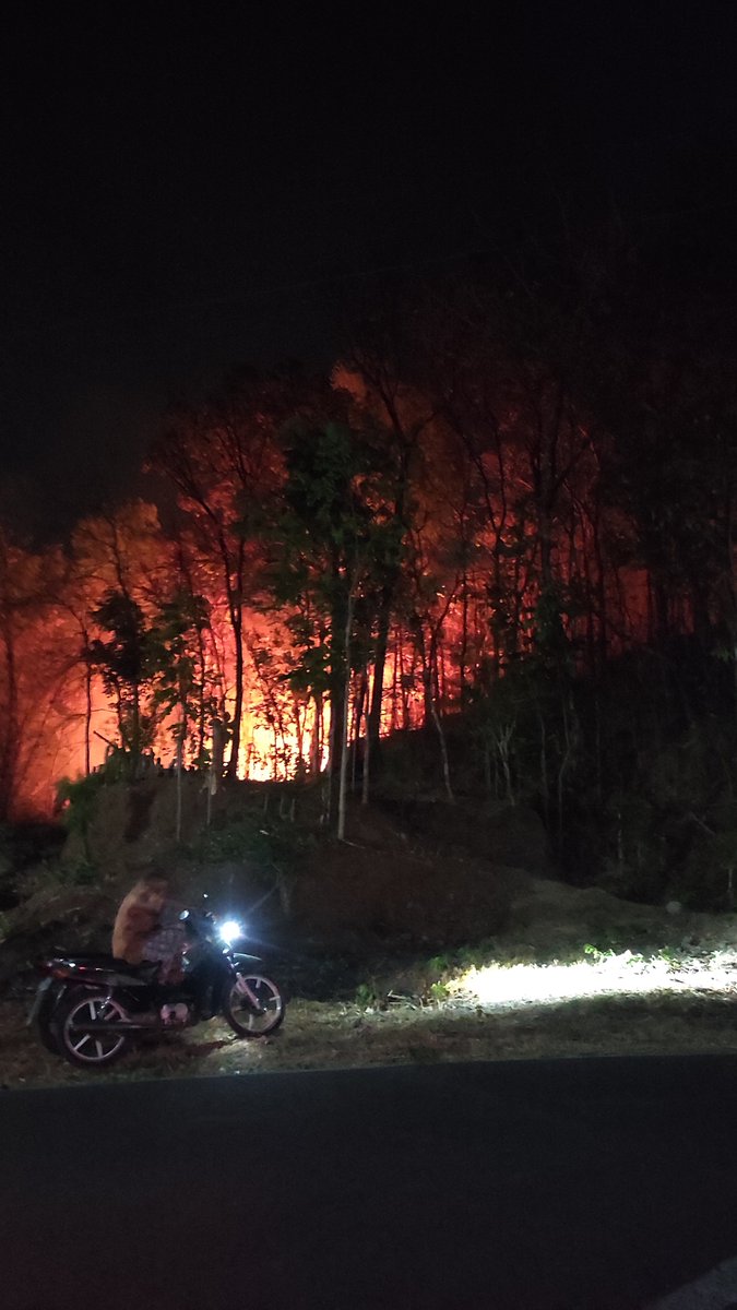 BaekSueJi's tweet photo. Katanya api dari dekat rumah warga, ini udah menjalar sampe ke atas hutan, panjang banget😭🥺

-Sukoharjo, 260928 https://t.co/2svj9jBQPP