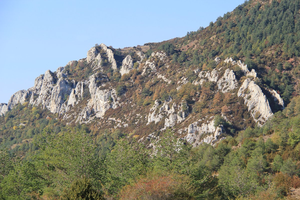IGEAR_Aragon's tweet photo. ¿Sabías que...? 😉

La Sierra de Santo Domingo fue declarada Paisaje Protegido en 2015.
📍 Situada en la comarca de Cinco Villas, ocupa 9.678 hectáreas entre Biel, Longás y Luesia.
🏔️ Su entorno constituye una zona de transición entre dos grandes unidades ecológicas y paisajísticas: el valle del Ebro y los Pirineos.