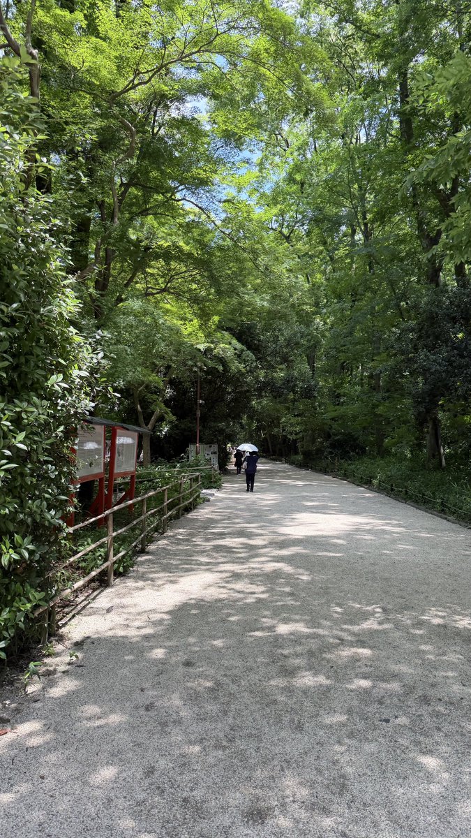 voug43571's tweet photo. 夏の京都 https://t.co/dGxDiaSBQ2