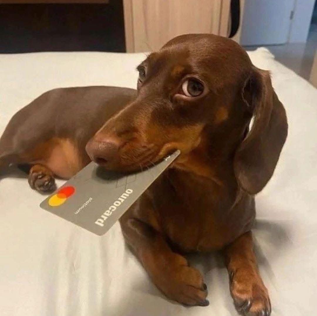wap's tweet photo. a fatura: “você não vai conseguir fugir de mim” 
eu: comprar mais um produto WAP pra facilitar a vida https://t.co/UB9EmKbymQ