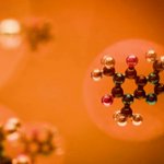 Photo by CNR ICB - Istituto di Chimica Biomolecolare (@CnrIcb)
