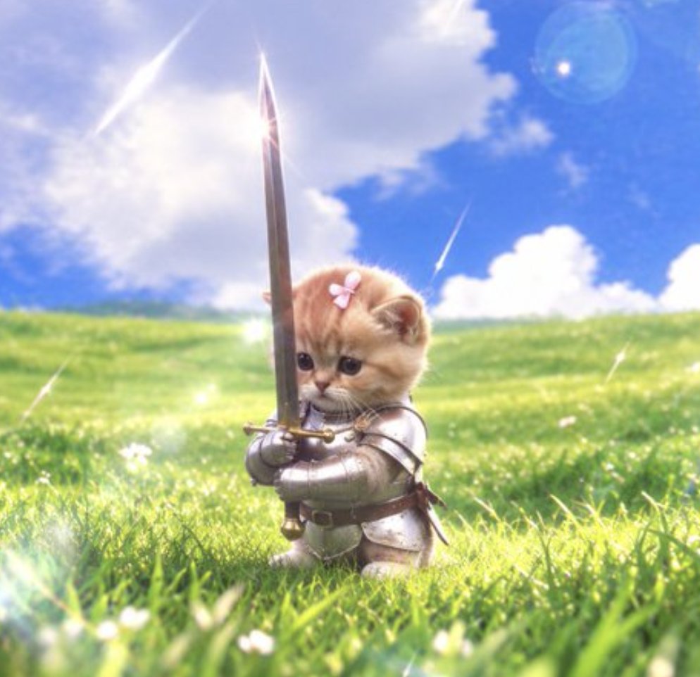 keashif1's tweet photo. solana:5tCju6YNxHq5zrA6tGndr6F7TK42mpUFmeE31cSFpump is gonna save the trenches with it's little sword, how cute haha https://t.co/JobLwdzq6f