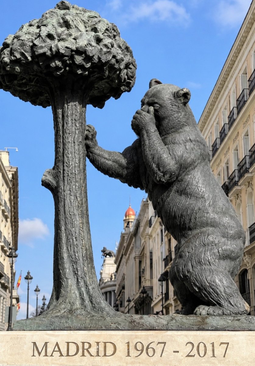 SorSarna_n1's tweet photo. El oso de Sol ya no puede más... https://t.co/MTTLYTsxpz