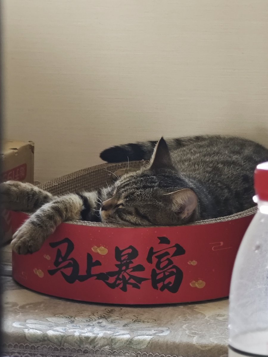 chiyu7301's tweet photo. https://t.co/V1Ih0TClOy