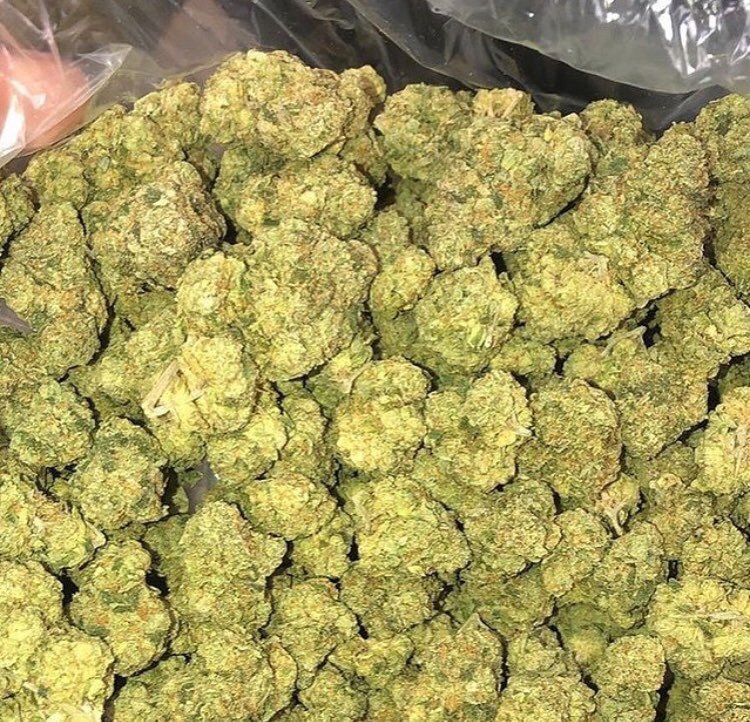 Kleinmarelkcif's tweet photo. 🌿 livraison rapide dans tous les coins DM moi pour commander 🇨🇵
Pour la Team France

 ☎️👉https://t.co/QYLOoZOkqW

WEED BEUH En Livraison sur commande

#poupettekenza
#NANTES 
LORIENT 
#BORDEAUX
#weed
#Shit
Cocaïne
#TOULOUSE https://t.co/9ZdoNo9d8w