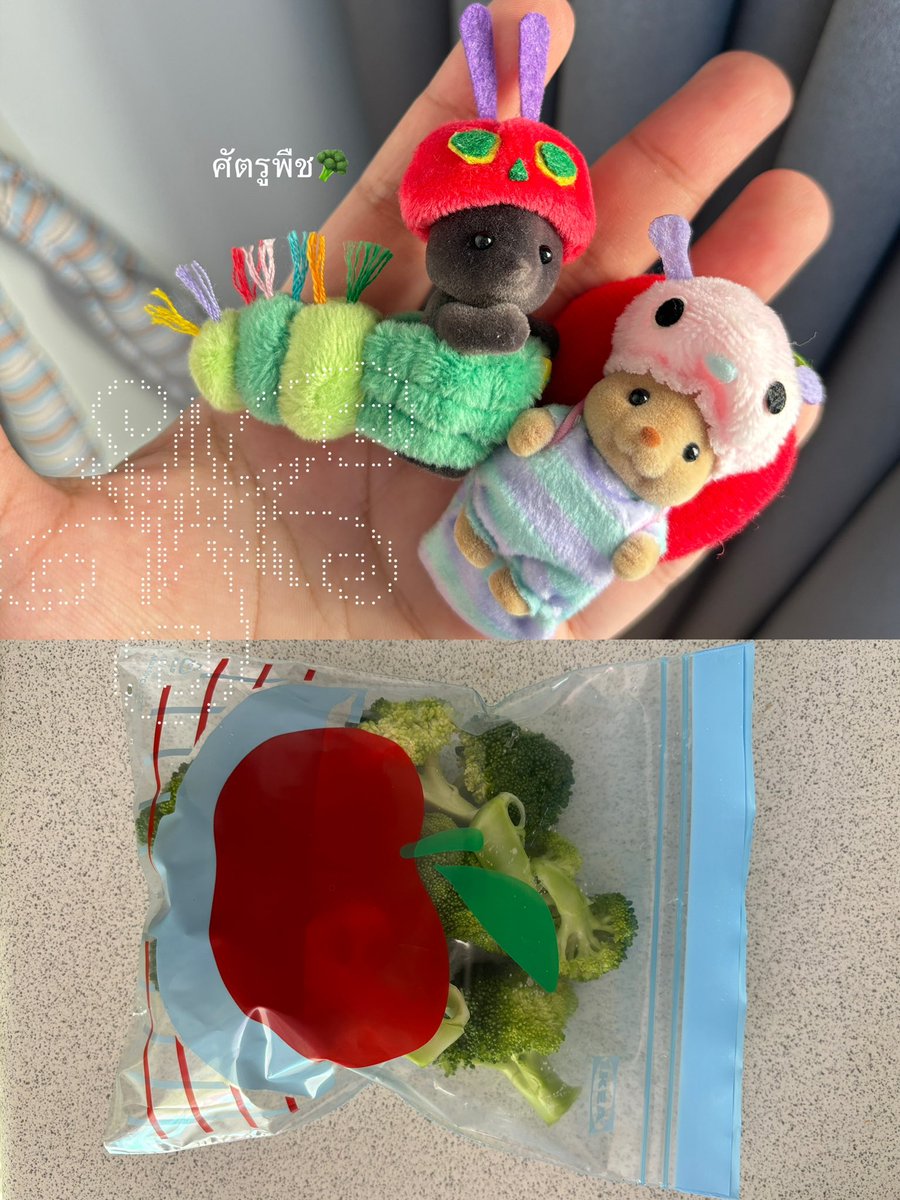 bmheebear's tweet photo. healthy 🥦🍄🍄‍🟫🐛 https://t.co/5MpzwaEhX4