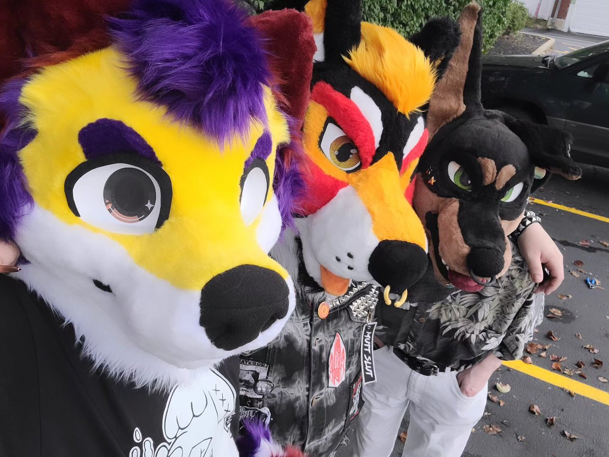 coyoteoftherock's tweet photo. Pride with Ian and Tacofen was legit so much fun. Glad I got to fursuit this weekend https://t.co/dpnM3WyOdv