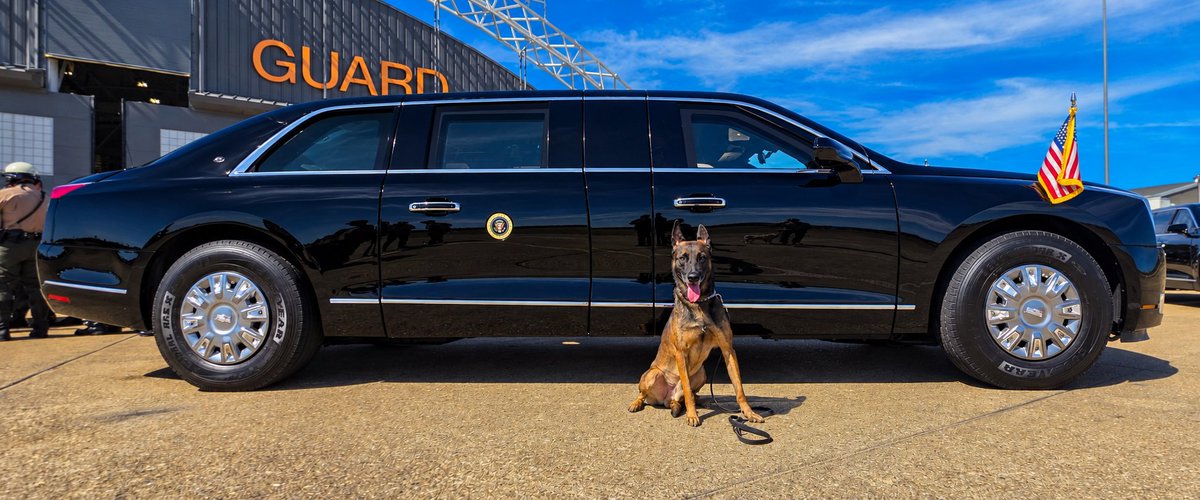 Knoxville_PD's tweet photo. Talk about some hard-working pups! 🐾🇺🇸

On Saturday, KPD Officer Colby Chandler and ATF Special Agent Mark Jordan, along with their K-9 partners Echo and Piper, helped support security efforts for both President Trump's visit and the Tennessee vs. Texas game.

Both teams started their day at 4:00 a.m., conducting pre-event sweeps of Neyland Stadium and the College GameDay set. They later assisted with clearing the presidential motorcade route ahead of the president's visit to the stadium.

Thank you to Officer Chandler, Special Agent Jordan, Echo and Piper for your hard work!
