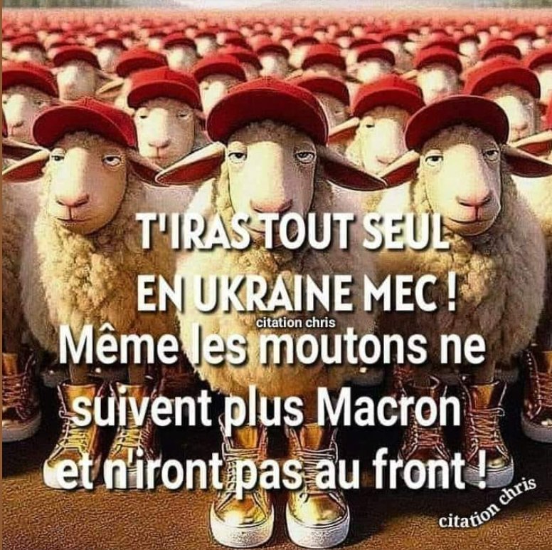 anticorps6's tweet photo. @AurelienDuchene Un planqué https://t.co/rsOeb9tDHB