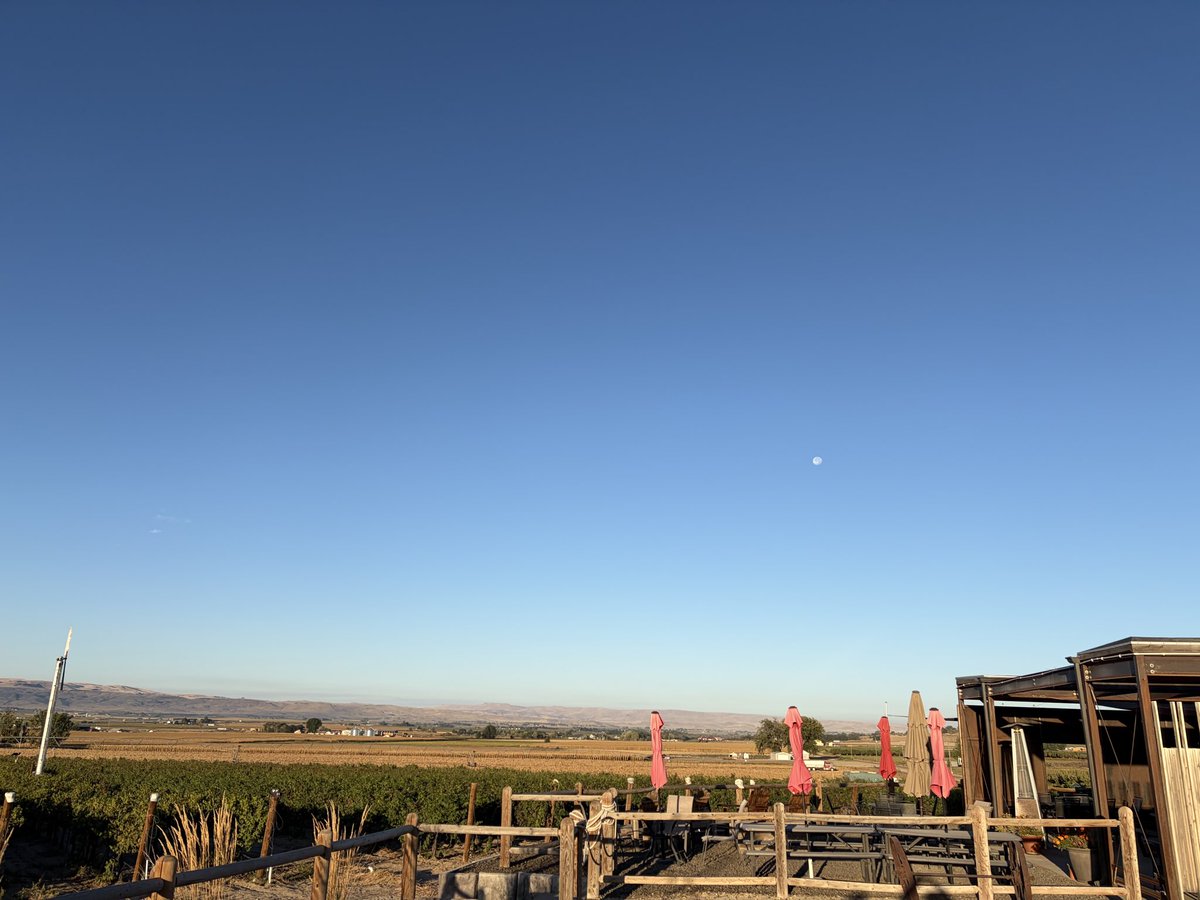 HatRanchWinery's tweet photo. #HarvestMoon hangs over harvesting of #PinotGrigio on the @SunnyslopeWines #DrinkIdahoWine https://t.co/IfXweIZUHX