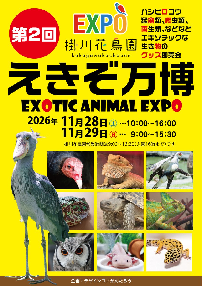 kantarow's tweet photo. 【参加作家様大募集】
11月28日㈯・29日㈰に静岡県は掛川花鳥園で
・ハシビロコウ
・猛禽類
・爬虫類
・両生類
・その他
 のグッズ販売イベント「#えきぞ万博」を開催

https://t.co/siXo8vDL3f

参加枠に空きがありますので追加で参加作家様募集します
募集締切10月15日です
ご参加お待ちしていまーす https://t.co/0Om4uHAdTq