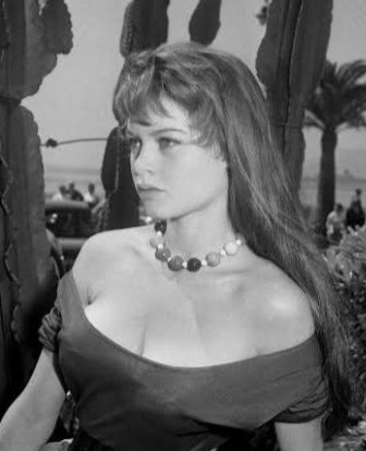 _ABIBAH's tweet photo. 🎂 Il y' a 92 ans le 28/09/1934 naissait 🌸 BRIGITTE BARDOT 🌸@brigittebardot 💔🌹✨ @FBB_Officiel #hommage #anniversaire #celebrity #cinema #film #animaux #icone #legende #star #onvousaime #mamandesanimaux https://t.co/2jd5e59rku