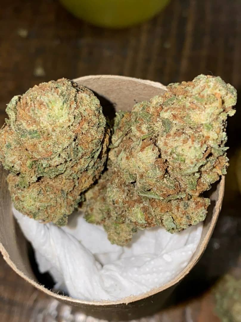 Kleinmarelkcif's tweet photo. Livraison #Weed #Shit #Beuh #weedlove sur
☎️👉https://t.co/QYLOoZNMBo

#napoli #Nantes #Europe #Paris #Marseille #Lyon #Toulouse #Nice #Nantes #Montpellier
#Strasbourg #Bordeaux #Lille #Rennes #Reims
#Toulon
#SaintEtienne https://t.co/gNiyZpk6bS