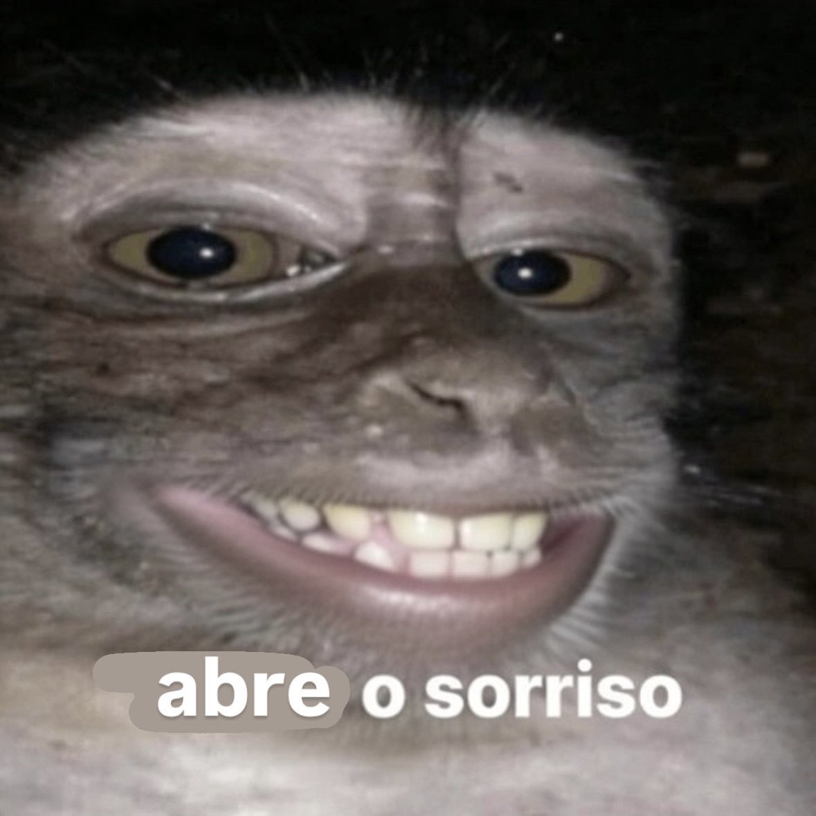 ItsJennieLys's tweet photo. @Procyondbd Enquanto isso o halloween do dbd vai ser o mesmo de sempre correr,chutar umas abóboras e receber umas skins meia boca https://t.co/hP8kj7KrSb