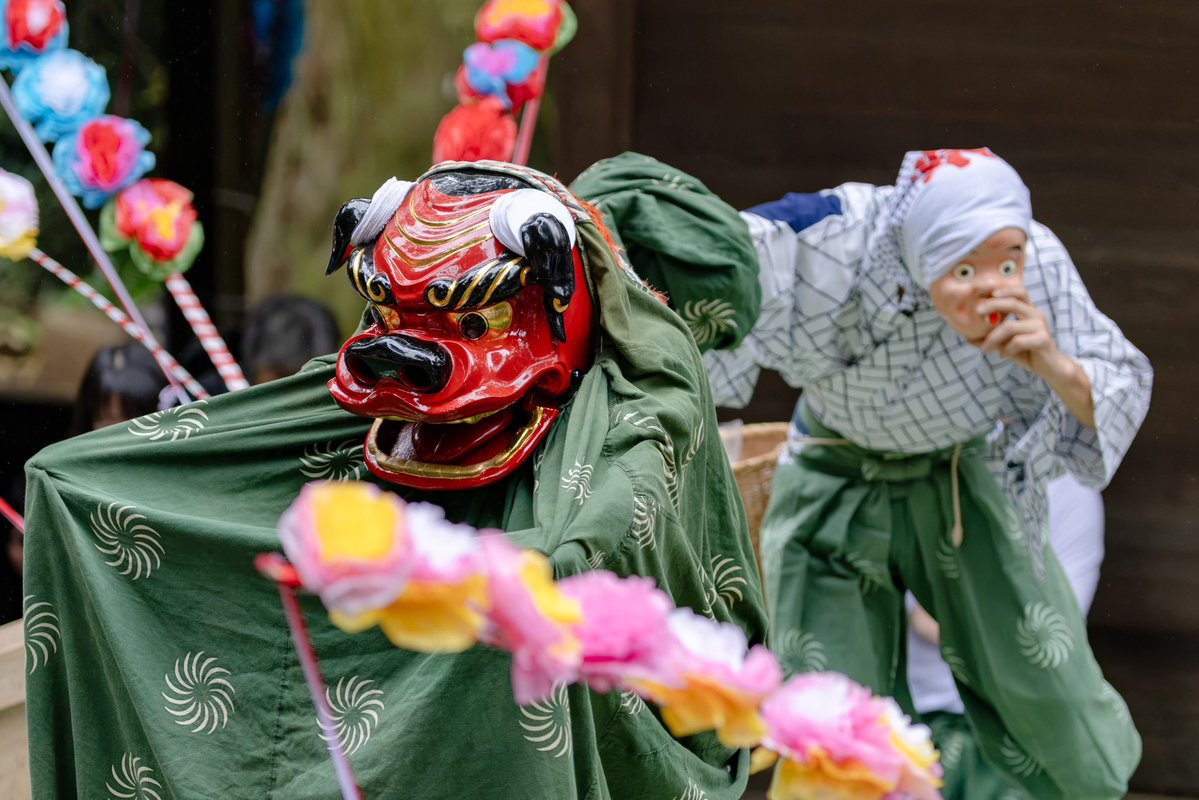 gussunO_sanNooB's tweet photo. 君津市の白山神社 例大祭
小さな地区でも活気のある例大祭
この歳になると、このような文化は大切にしたいと思う。
📷 EOSR7 sigma 50-100mmf1.8
#canon #eosr7 #sigma50-100mm
#白山神社 #君津 https://t.co/Ag1SW22FUd