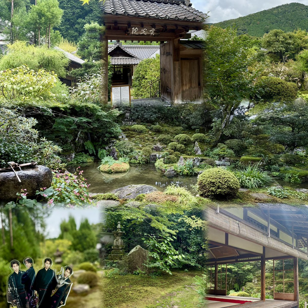 08__a30's tweet photo. おかげさまで毎年恒例になったこの時期の京都旅！苔庭はせっかくならと去年行った2箇所除いて丁度4箇所を1日目に巡ったらすごく浄化された👍🏻
桂春院と実光院が静かで落ち着いててお気に入り🍵
三千院の前にあった焙煎所は顕嵐くん好きそ〜と思うなどした😌☕𓈒𓏸︎︎︎︎
#そうだ京都行こう https://t.co/2a3o65TYvx