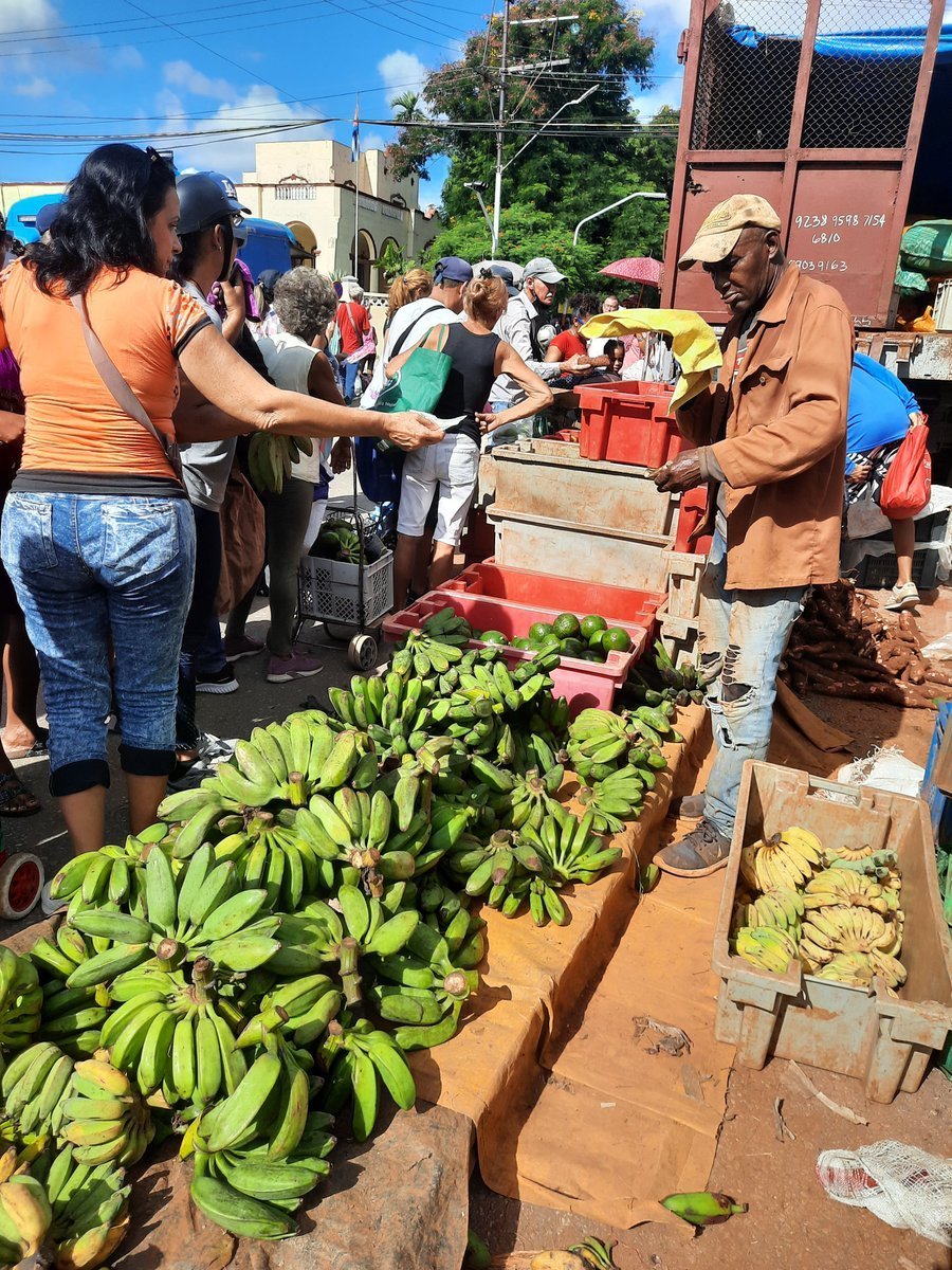 Jonathan_x_Cuba's tweet photo. Se realizó feria agroalimentaria y de productos agropecuarios en el Santa Catalina del municipios de 10 de octubre con variadas ofertas para la población. https://t.co/DoIy7rymsV
