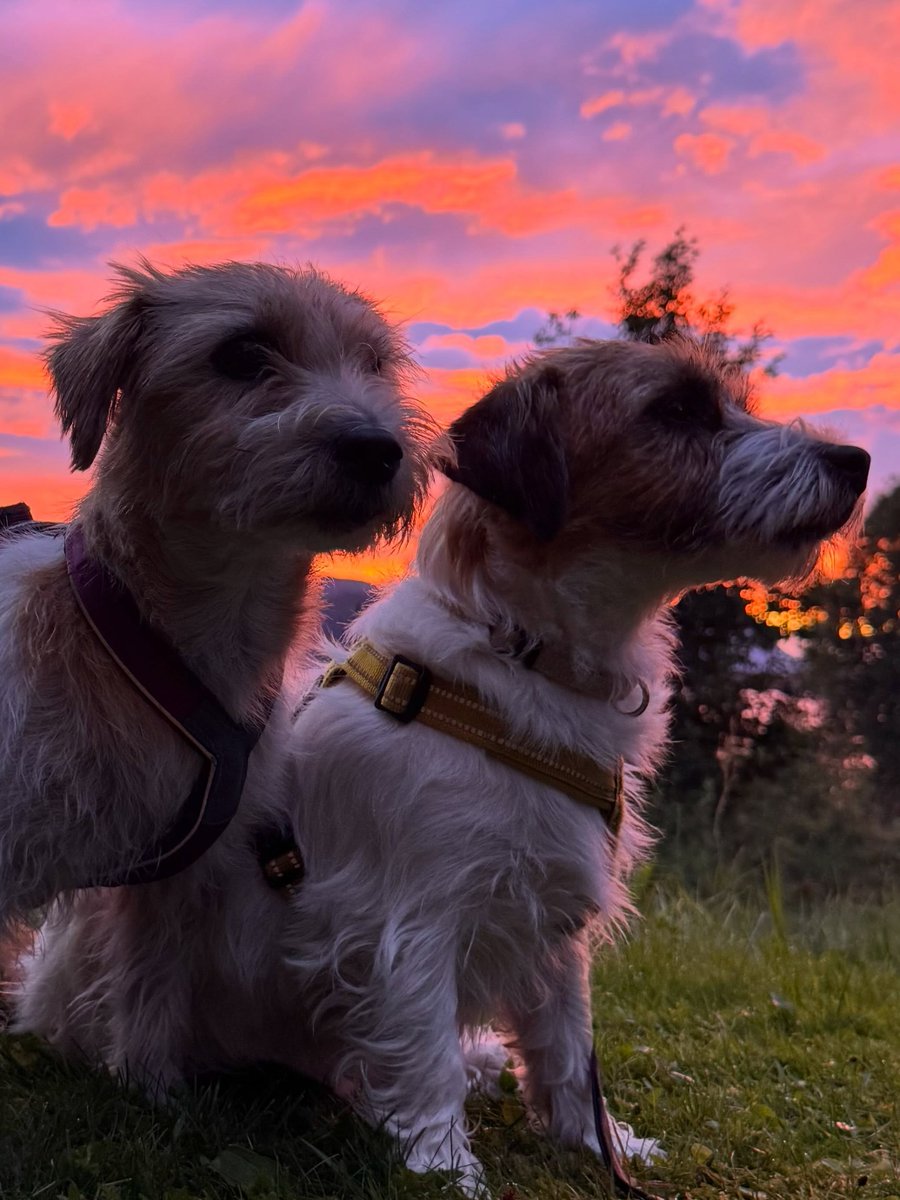 hazeljacksonqso's tweet photo. The sky is amazing tonight. https://t.co/1umKJPUxkO
