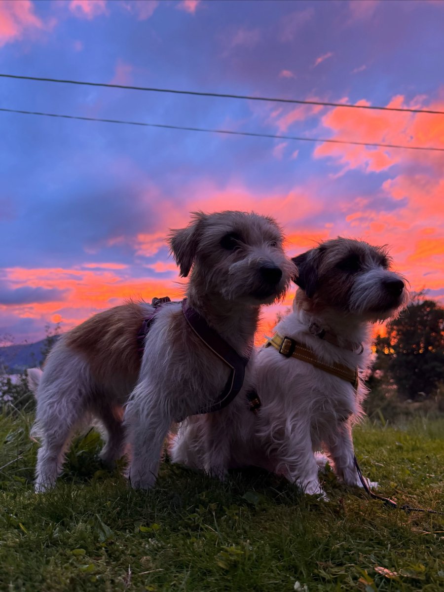 hazeljacksonqso's tweet photo. The sky is amazing tonight. https://t.co/1umKJPUxkO