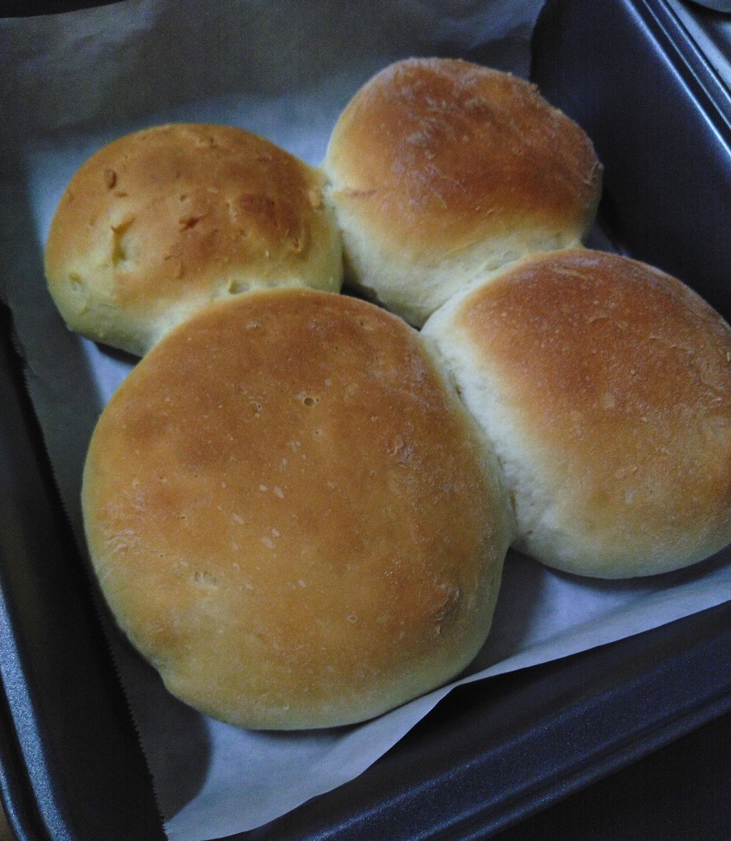 Diehard_Mandane's tweet photo. パンを焼くかあってなって5年前に切れてるイーストしかなかったんだけど無事発酵して美味しくできた
金サフすごい https://t.co/VPGR6J9gjo