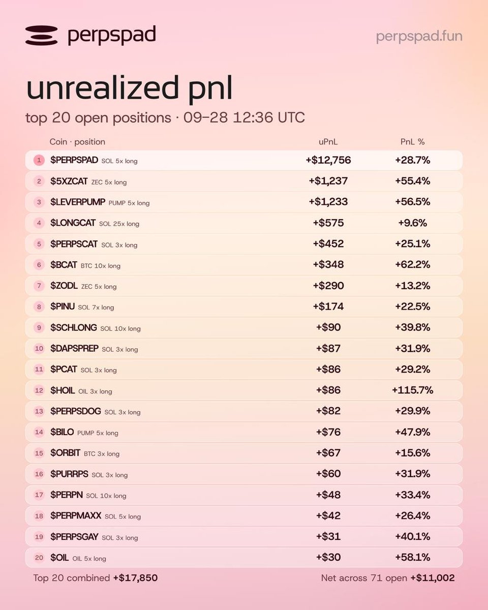 PerpsPadfun's tweet photo. $17.8k in unrealized pnl across the top 20 open positions on @PerpsPadfun.

letting them cook. https://t.co/xxaBqFtM6B