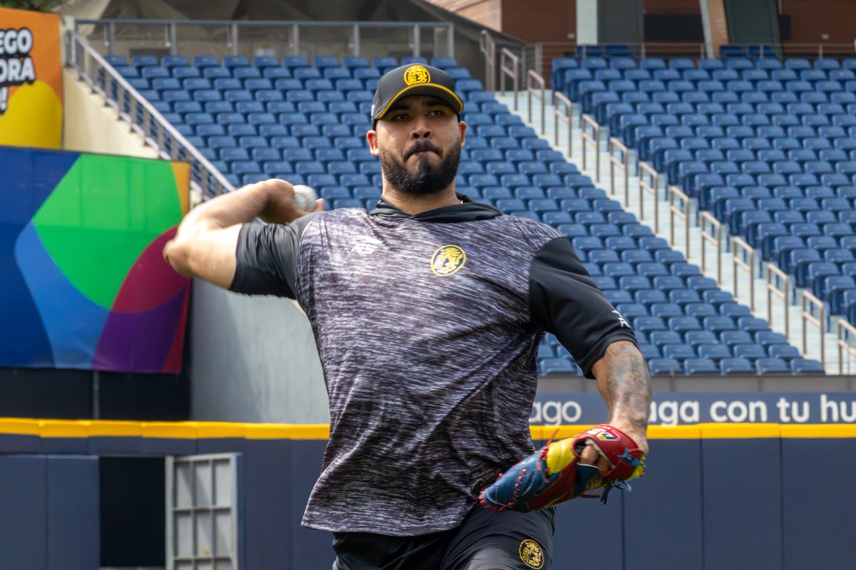 leones_cbbc's tweet photo. Higuerote en casa 🔒

Luis Curvelo está de regreso a Caracas y está listo para rugir en el @monumental_sb 

📸 @danopv_ 

#CaraquistaSoy🦁 https://t.co/7eagq7oUJc