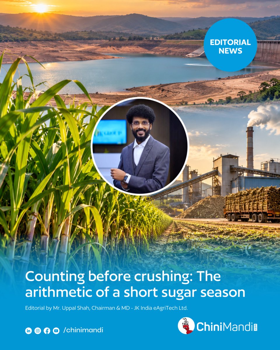 ChiniMandi's tweet photo. Every sugar season begins long before the first cane reaches the factory gate.

It begins with rainfall, water availability and the decisions farmers make about fresh planting or ratoon crops. As the 2026–27 season approaches, these factors are pointing towards a season that could be shorter, leaner and more challenging than the previous one.

Read the full editorial by Uppal Shah here🔗
https://t.co/CDFIsypqH3

#ChiniMandi #ChiniMandiUpdates #SugarSeason #SugarcaneFarming #SugarIndustry

@uppalshah
