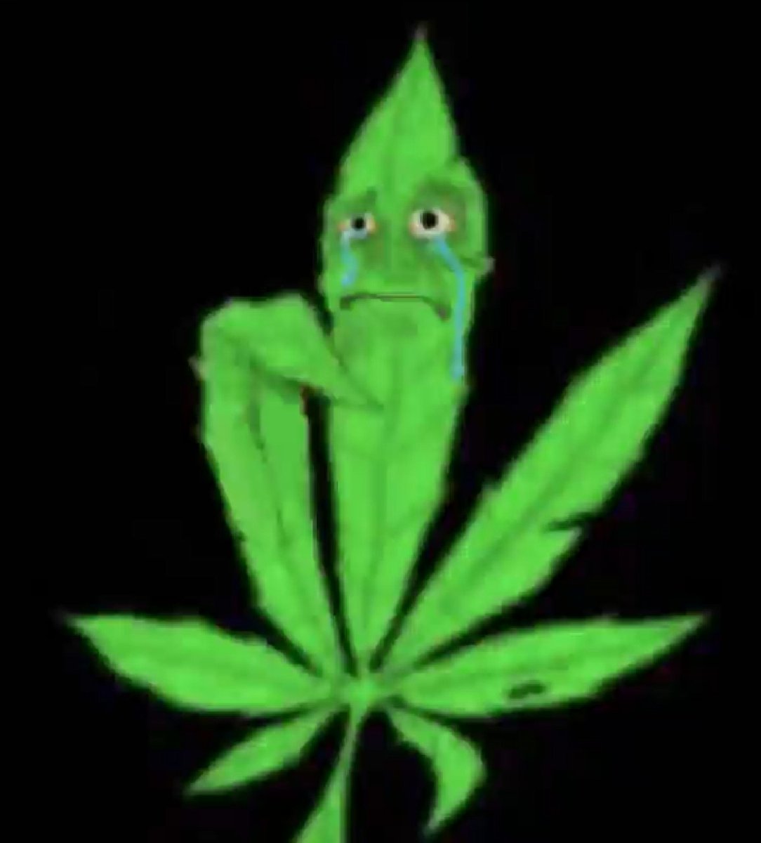 sparkle_j0in's tweet photo. Quando vc fuma maconha pra se sentir melhor,mas agora voce so esta triste e chapado https://t.co/r5aTCyN7nl
