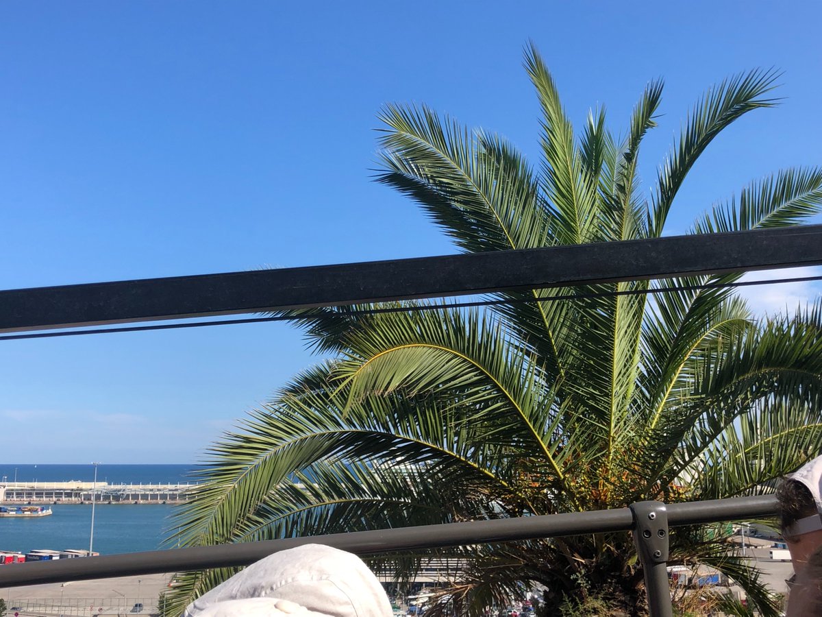 SeverusAlbum's tweet photo. The weather is absolutely amazing! https://t.co/THlw6Sz32l