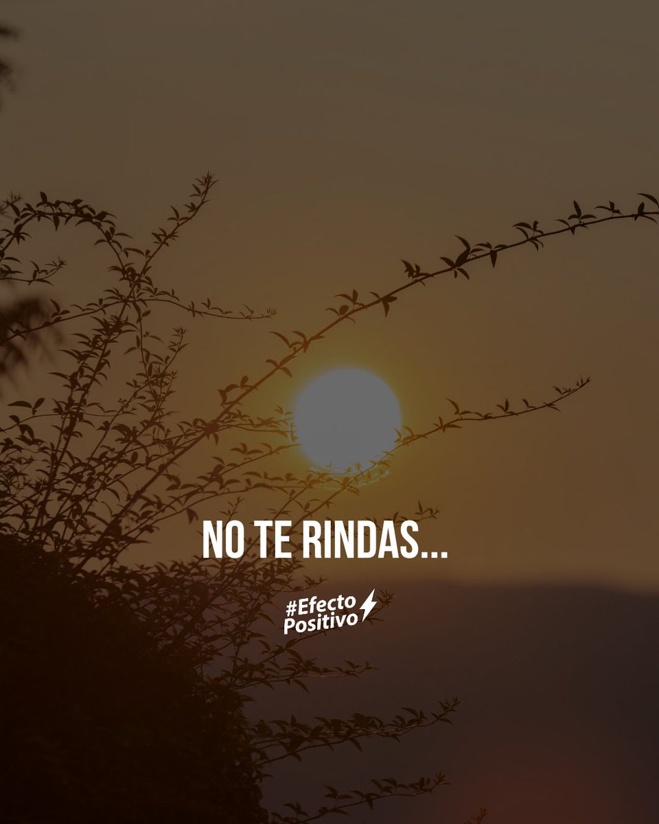 aesquinca's tweet photo. No te rindas. Aunque hoy no veas el sol, aunque el camino se sienta cuesta arriba, aunque las fuerzas parezcan menos que ayer.

Hay semanas que empiezan con el pie izquierdo.
Lunes que pesan más de lo normal.
Días en los que todo parece conspirar para que te detengas.
Y en esos momentos, la voz del cansancio te susurra: "¿para qué seguir?"

Pero déjame decirte algo: no te rindas.

No porque el camino vaya a volverse fácil de repente.
No porque los problemas vayan a desaparecer por arte de magia.
No porque alguien venga a rescatarte.
No te rindas porque tú puedes más de lo que crees.

Rendirse no es descansar.
Rendirse es soltar la visión de lo que quieres construir.
Rendirse es creerle al miedo más que a tu propia fuerza.
Rendirse es olvidar todo lo que ya has superado para llegar hasta aquí.

Y tú has superado mucho.
Más de lo que reconoces.
Más de lo que otros saben.
Más de lo que tu propia mente recuerda en los días oscuros.

No estás empezando de cero.
Estás empezando desde la experiencia.

Cada caída te enseñó algo.
Cada lágrima te hizo más humano.
Cada tropiezo te mostró dónde estaba la piedra.
Y aunque hoy te sientas cansado, no eres el mismo que empezó. Eres alguien más sabio, más fuerte, más consciente.

No te rindas.
No porque sea obligatorio ganar.
Sino porque mereces ver lo que pasa cuando no te detienes.

Mereces ver cómo ese proyecto que tanto te costó, finalmente florece.
Mereces ver cómo esa relación que sanaste, se convierte en paz.
Mereces ver cómo ese hábito que cultivaste, transforma tu vida.
Mereces ver la versión de ti que solo nace cuando decides no abandonar.

La vida no premia al que nunca cae.
Premia al que se levanta una y otra vez.

Así que hoy, lunes, te invito a algo simple:
Da un paso. Aunque sea pequeño. Aunque sea lento. Aunque no estés seguro de hacia dónde te lleva. Pero da un paso.

Y cuando llegue la noche, agradece.
No por lo que lograste, sino por lo que intentaste.
Porque el intento también es una forma de victoria.

✨ No te rindas. El universo no pone obstáculos en el camino de quien no está destinado a algo grande. Y tú, aunque no lo sientas hoy, estás destinado a algo grande.

#EfectoPositivo #NoTeRindas #ToñoEsquinca