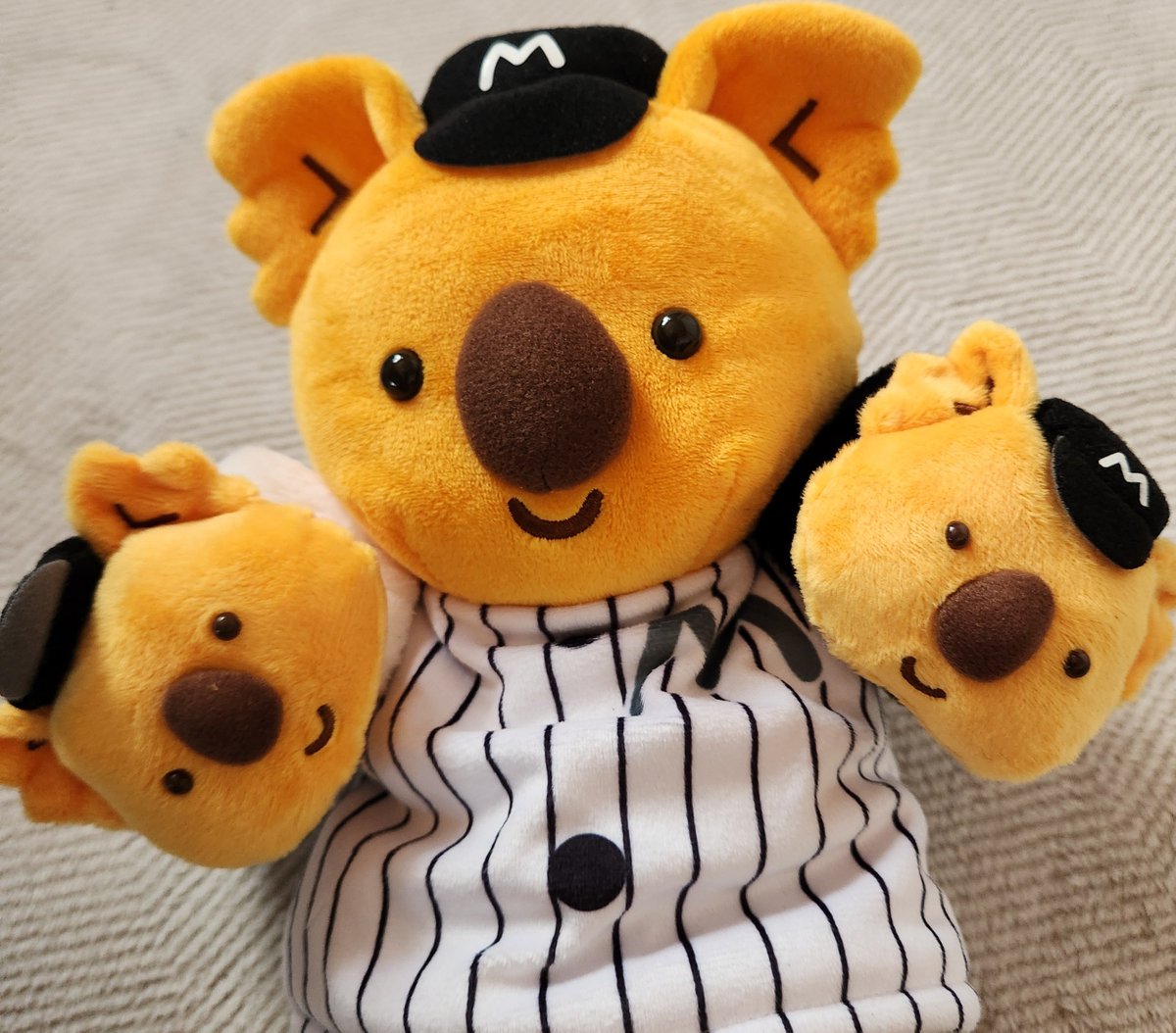 nachi_imas's tweet photo. #千葉ロッテマリーンズ負けた日なのでチャンスくんの画像を貼る会

🐨ｹﾙﾍﾞﾛｽ! https://t.co/YcN94blytd