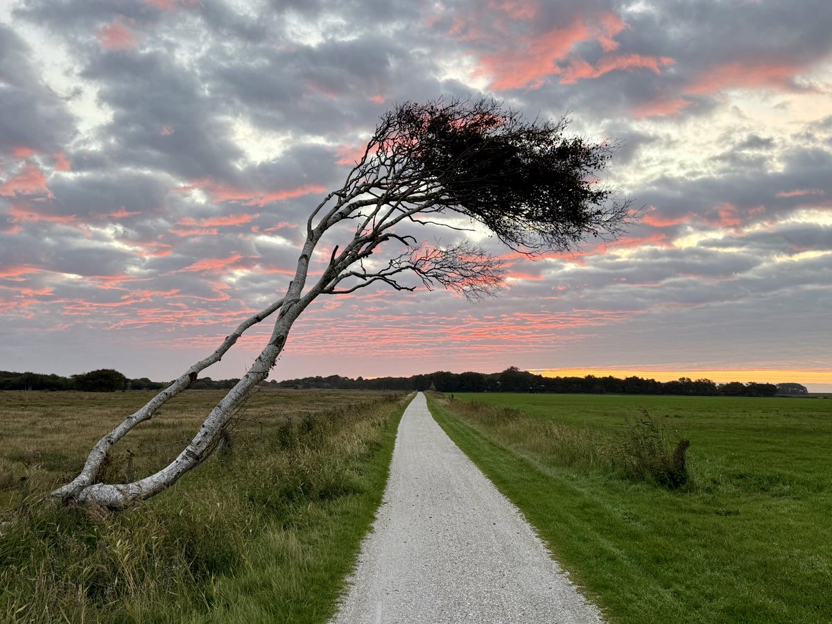 TalsmaC's tweet photo. Aan de horizon de Kooiplaats #Schiermonnikoog https://t.co/DgM2Y4TZbR