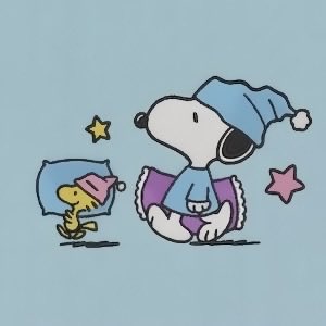 DailySnoopys's tweet photo. https://t.co/5awuVVu7kz
