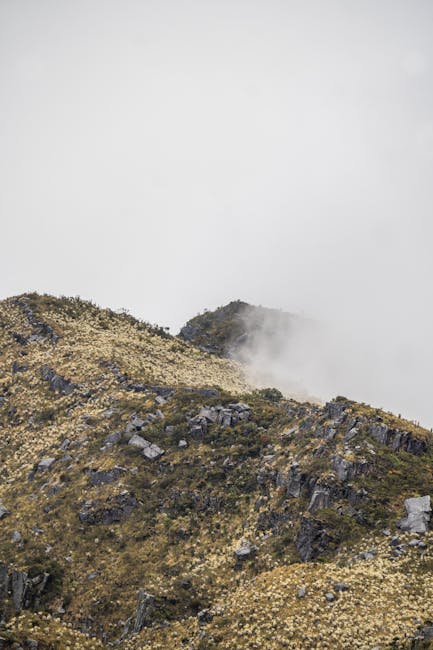 sallyyu_4ill's tweet photo. في الروح يعانق السعادة في كل لحظة، صمت. لحظة katerine timchula⛰️ https://t.co/izHtSLRO2L