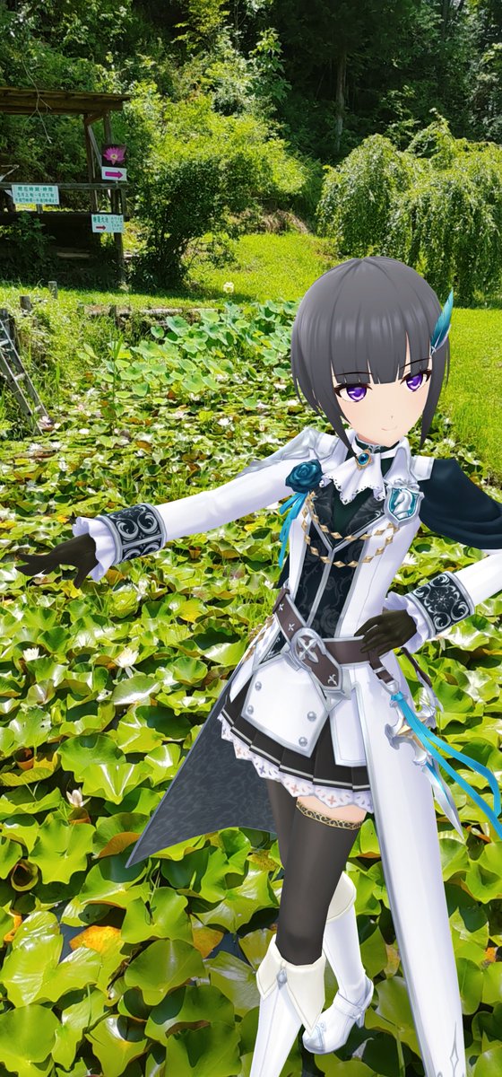 cctaz's tweet photo. 8月4日の南無の蓮池のスイレンの続き
#デレスポAR
#栗原ネネ
#白雪千夜 https://t.co/WGttkjxg2L