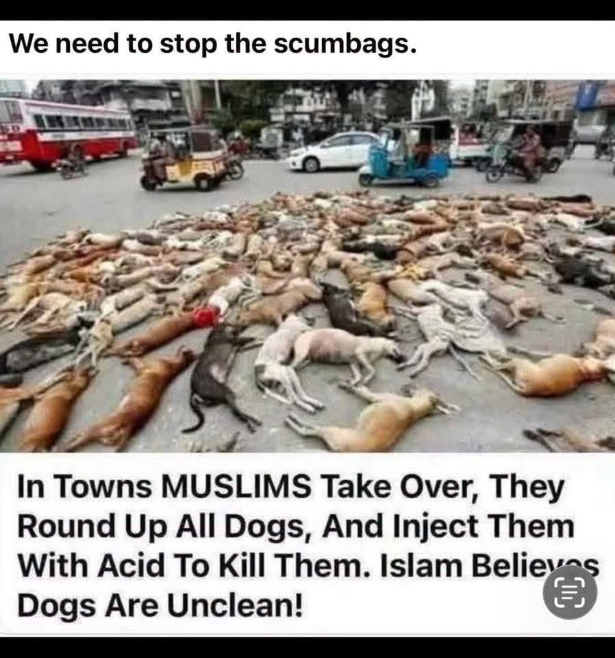 TRISHA_4YOU's tweet photo. @0ivankaTrump1 ABSOLUTELY! THE RELIGION IS EVIL.. https://t.co/Zpgheq3UJX