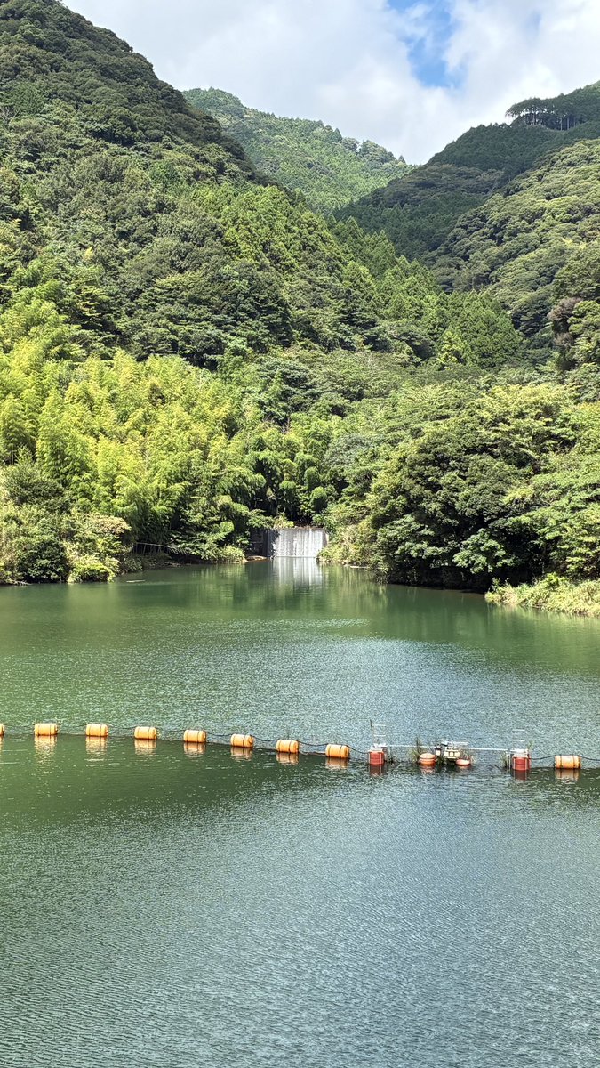 utofService's tweet photo. 合計63基目、静岡県 青野大師ダムにチェックイン！ #DamApp
台風の後でしたが、道中も特に被害の跡もなく穏やかでした。 https://t.co/jQow9Nz3oo