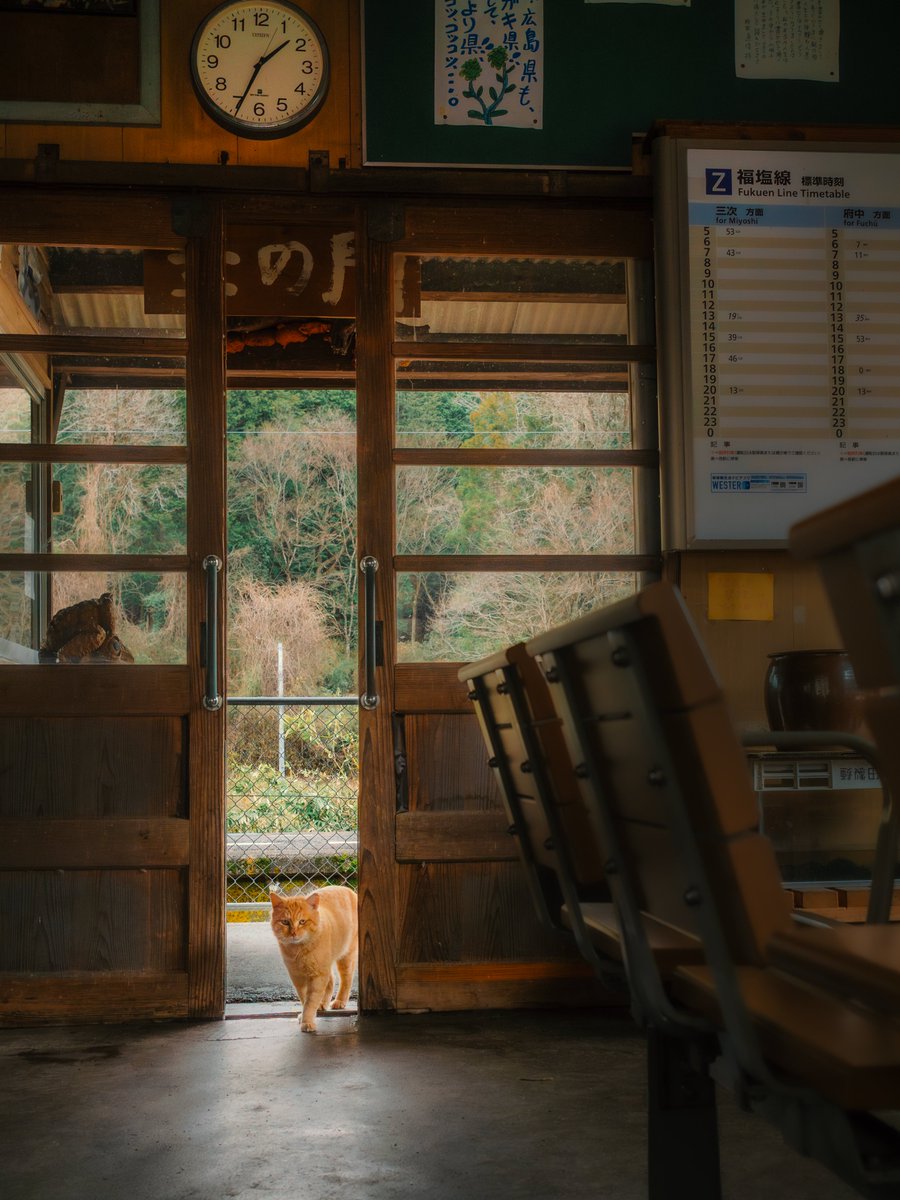 Ryoppi05670209's tweet photo. ただいま、いい旅だったにゃ. https://t.co/LZC1O5v3CM
