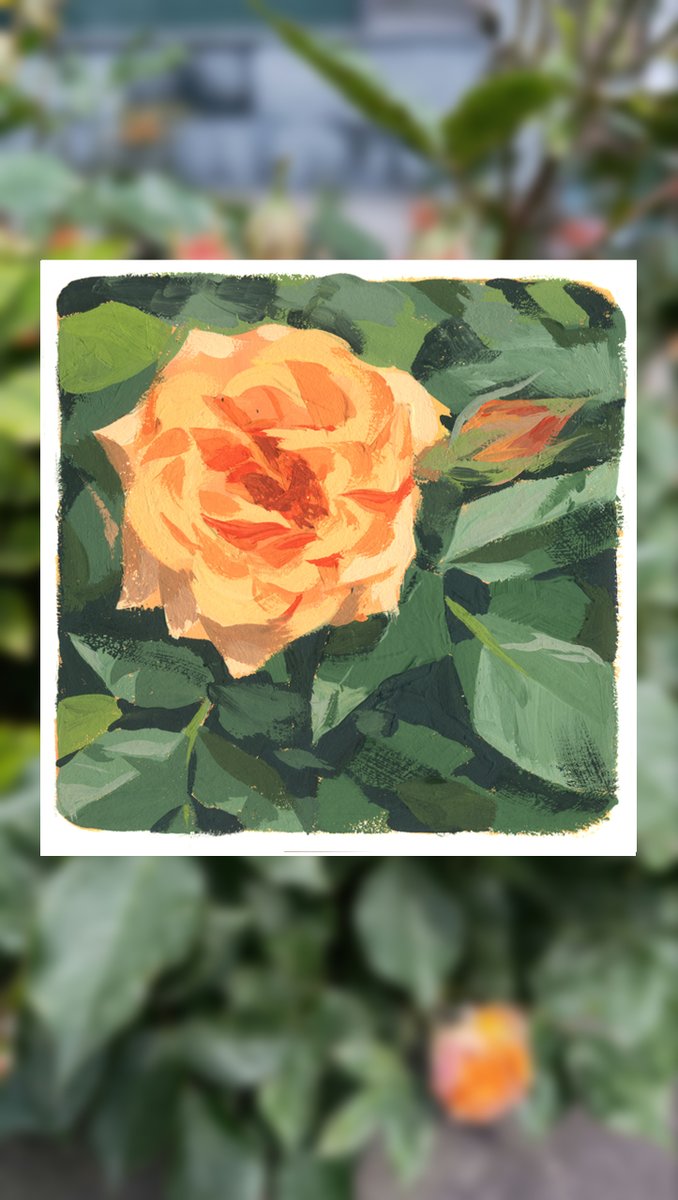 KononenkoElena's tweet photo. gouache flowers https://t.co/jGSGbRWjAl