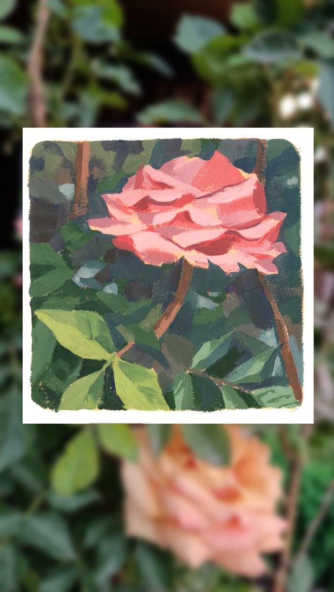 KononenkoElena's tweet photo. gouache flowers https://t.co/jGSGbRWjAl