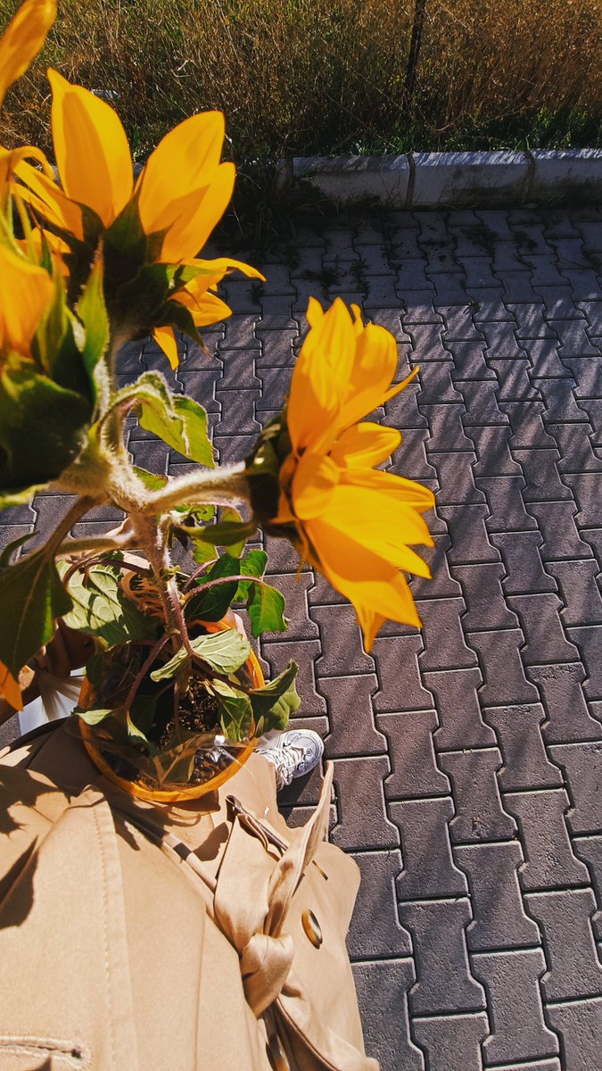 gcchvgl's tweet photo. "yüce dağ başında yanar bir ışık" https://t.co/DpFTfQco9J