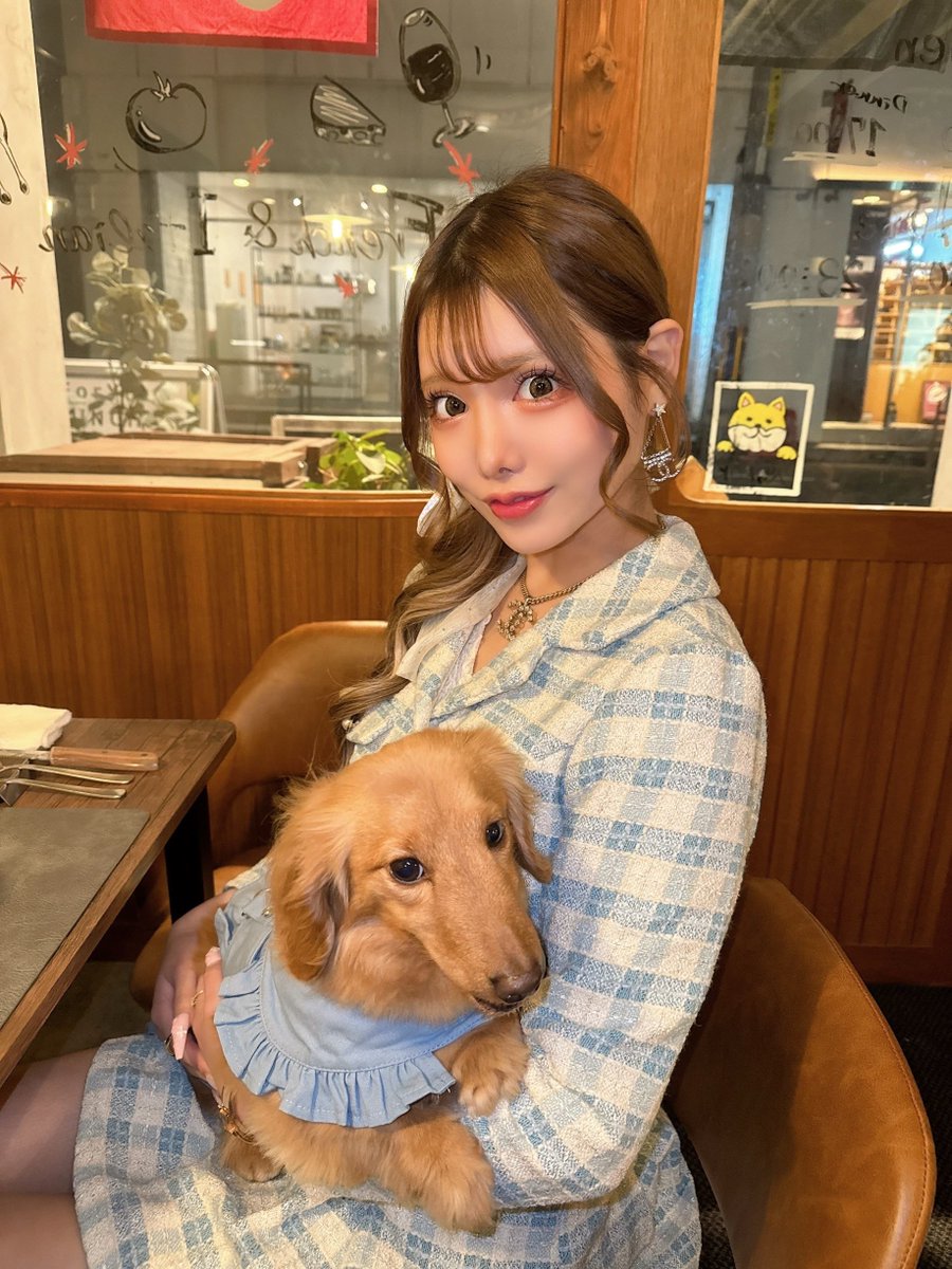 bisquedollbunny's tweet photo. 犬派ですか？？猫派ですか？？🐶🐱

@Reona_s2__ https://t.co/GQdnL8pzFN