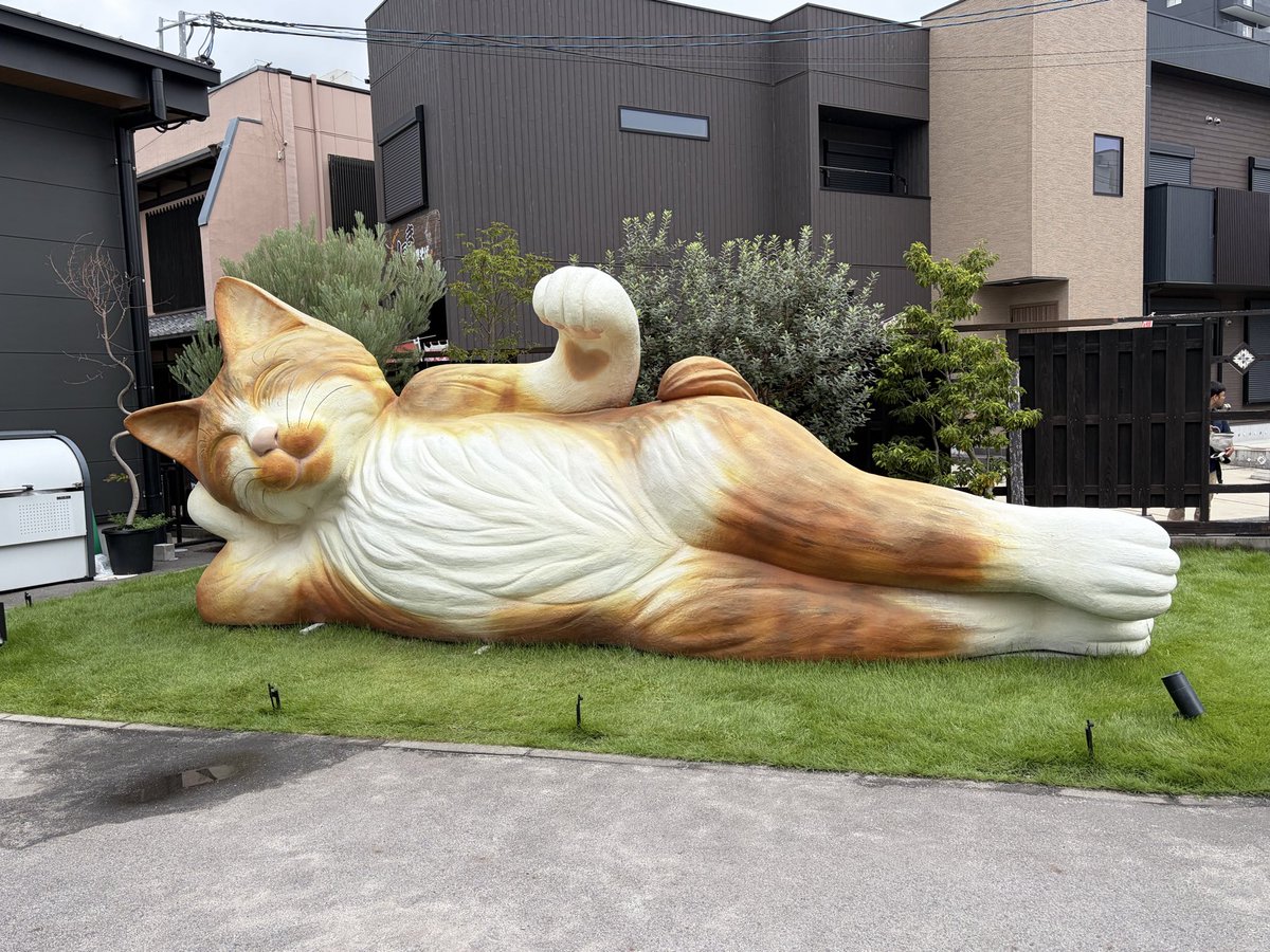 hatamado_imaike's tweet photo. 先週の日曜日は、招き猫に招かれてきました🐈
屋台を回り、福をたくさんチャージしたので、今日からまた元気に支援します✨️✨️ https://t.co/XF86arByM0
