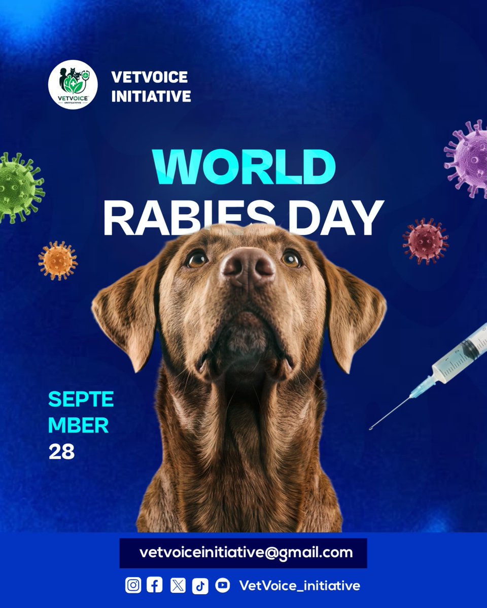 VetV_Initiative's tweet photo. "It’s just a small bite".
“It’s only a scratch.”
“The dog looks healthy.”
“I’ll be fine.”

Sometimes, the things we dismiss are the things we should take most seriously.

We are stronger together. 💪
#WorldRabiesDay #RabiesPrevention #OneHealth https://t.co/BrGmqJzGZ9