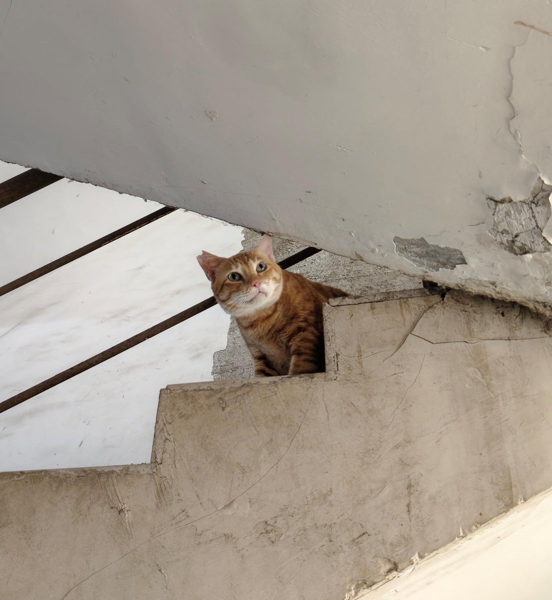 rajberrypie's tweet photo. If being handsome is a crime put him behind bars. (say hi to billu) https://t.co/b6l5fDuzXj