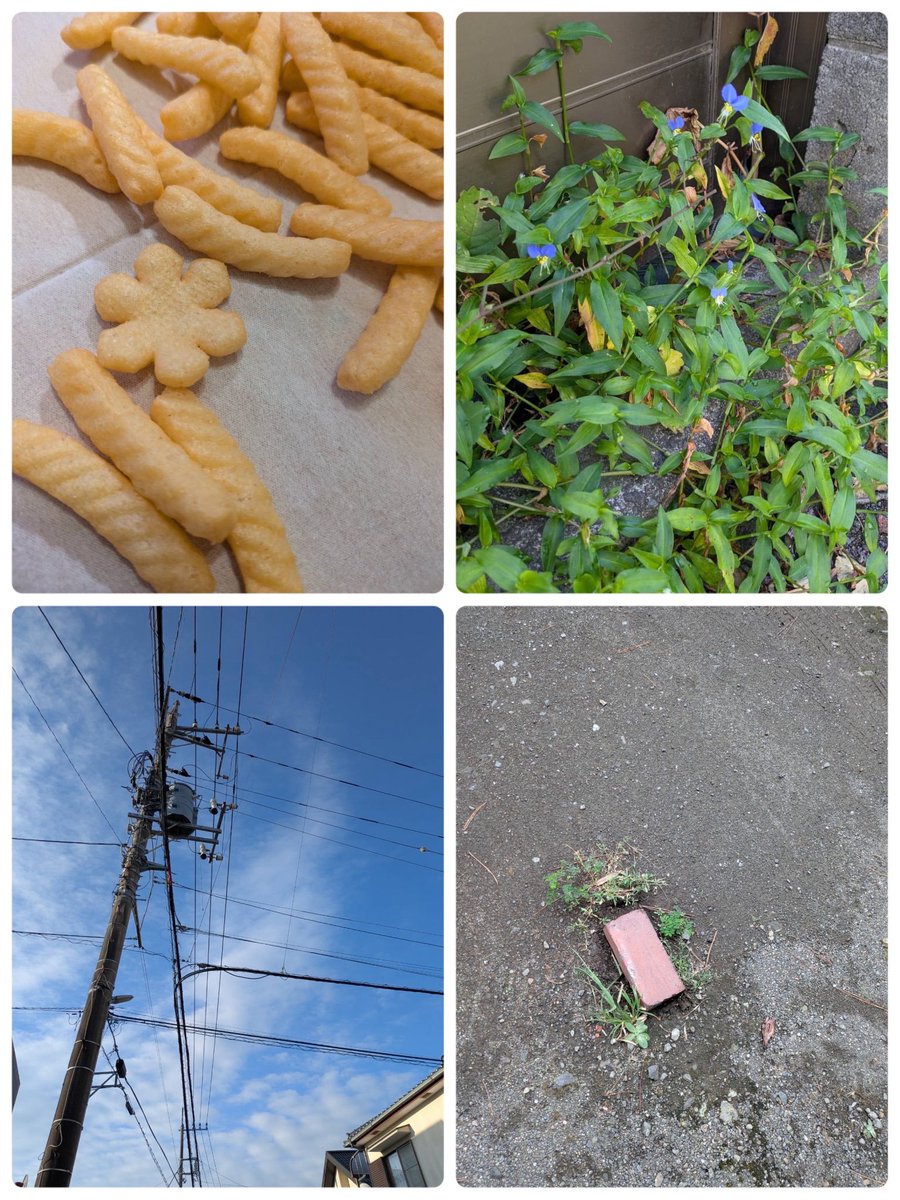 PSFproject's tweet photo. 【写偽SS企画 2026年9月度ベストシャギー賞発表✨️】

#写偽SS 企画ご参加頂いた皆さん誠にありがとうございました！

どの写偽作品も素敵なものばかりだったのですが私館長と見習い、そしてシャギーの間で特にグッときた作品をベストシャギー賞と題してご紹介させて頂きます！ https://t.co/27JXqXDH89