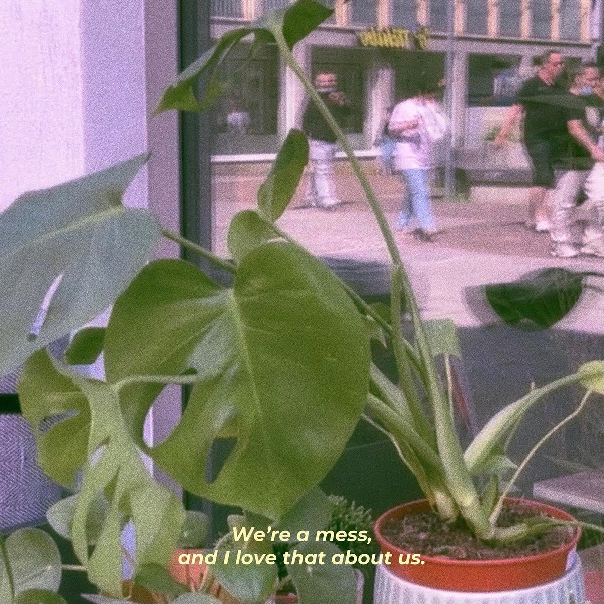zimplementeluka's tweet photo. Yo! 😎 Quick reminder: the world is a better place with you in it—go shine today! 🌸
kYRfU https://t.co/u5xof9H4lG
