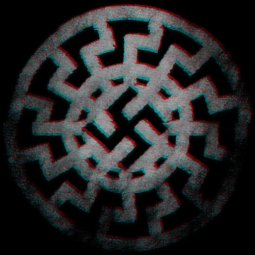 reislush's tweet photo. The reason I stopped being a leftist is because I don't see this movement going anywhere. I believe in the future. There's a movement bubbling with energy, getting stronger by the day, with an actual plan on how to rule. That movement is National Socialism. https://t.co/zllvSLkgbD