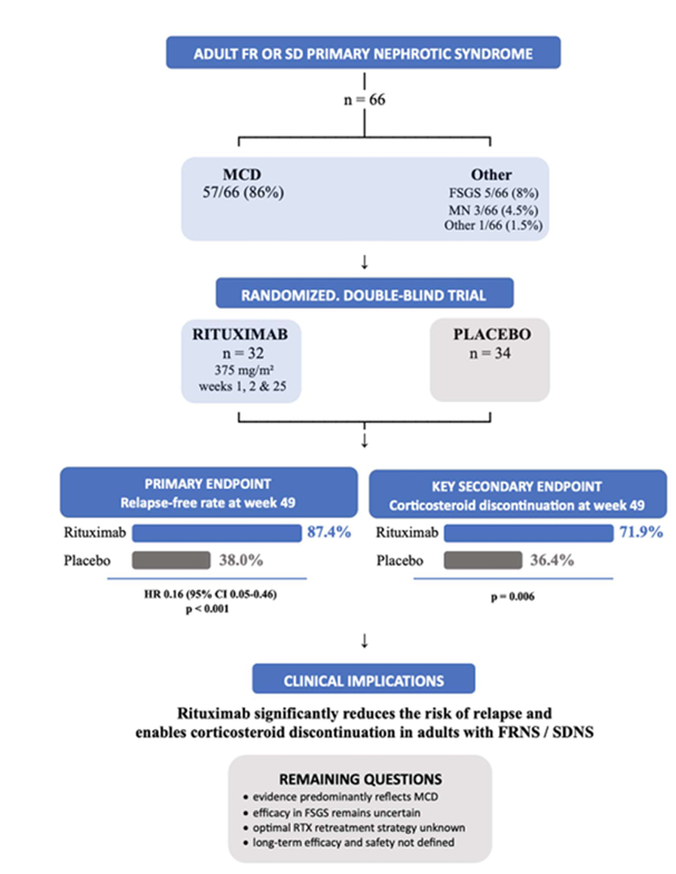 CKJsocial's tweet photo. Rituximab for relapsing nephrotic syndrome in adults: closing the evidence gap

https://t.co/LOtiR7EJqc https://t.co/ntvOJ1hC4c