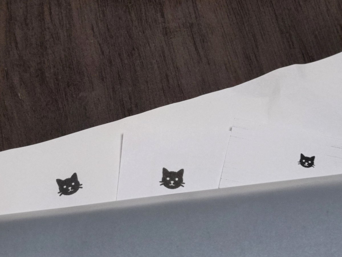 odd56ball's tweet photo. なん���病院の明細書とか薬袋ににゃんこいて���しなんだが🐈‍⬛ 💕 https://t.co/4lBIOVSCQu